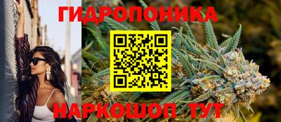 СК Ачхой-Мартан