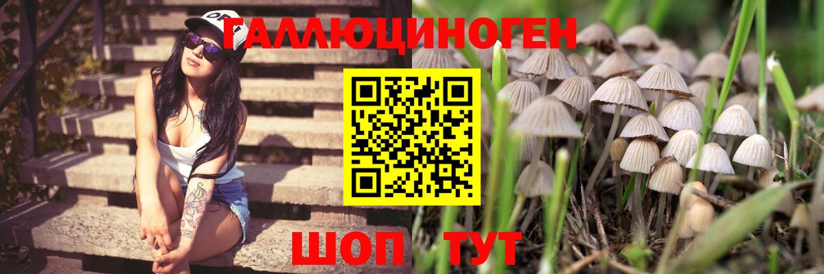 Псилоцибиновые грибы прущие грибы Сатка